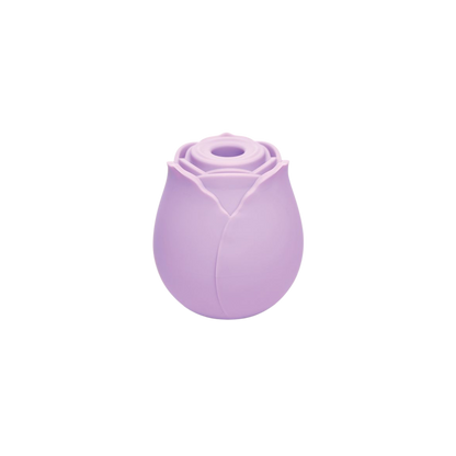 Wild Rose